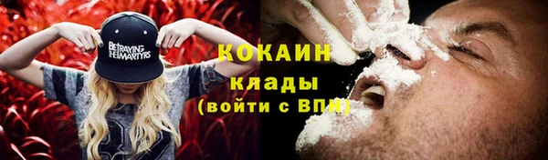 индика Беломорск