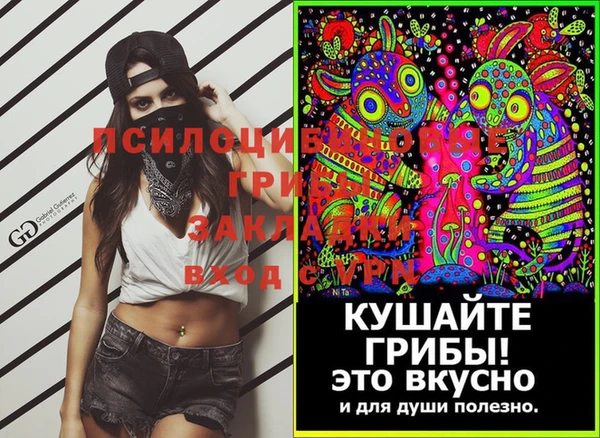 прущие грибы Белокуриха
