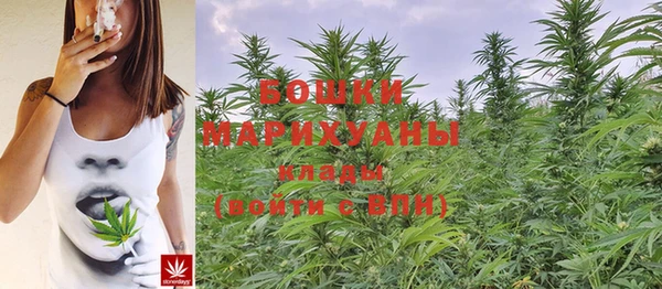 прущие грибы Белокуриха