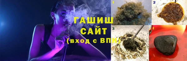 индика Беломорск