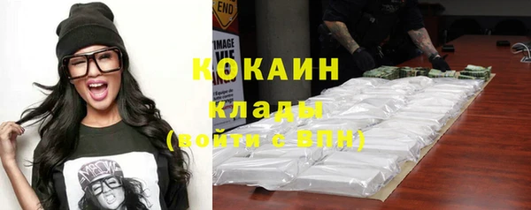 индика Беломорск