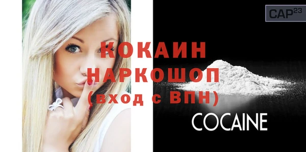 индика Беломорск