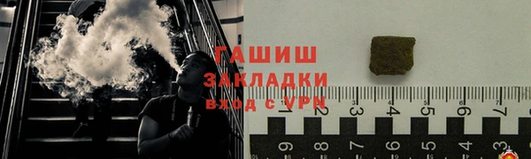 индика Беломорск
