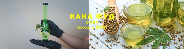 индика Беломорск