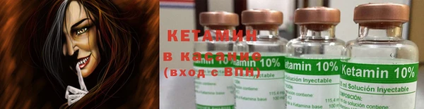 прущие грибы Белокуриха