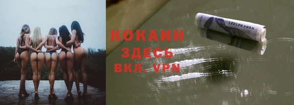 прущие грибы Белокуриха