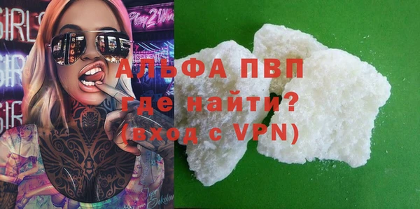 прущие грибы Белокуриха