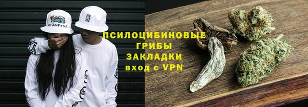 прущие грибы Белокуриха