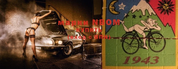 прущие грибы Белокуриха