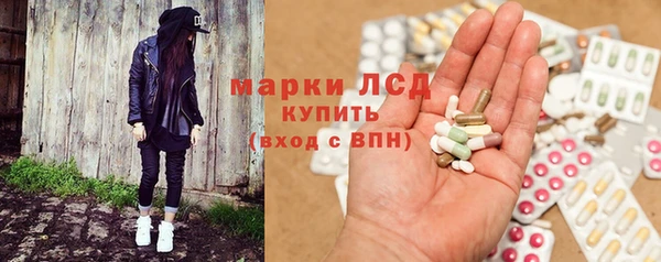 индика Беломорск