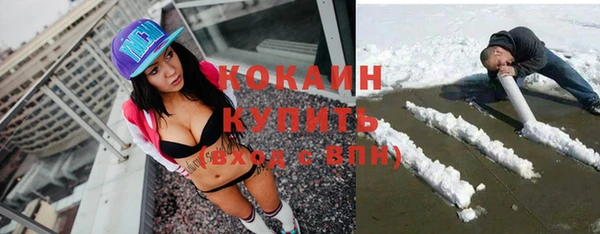 прущие грибы Белокуриха