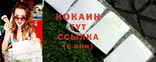 индика Беломорск