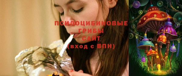 прущие грибы Белокуриха