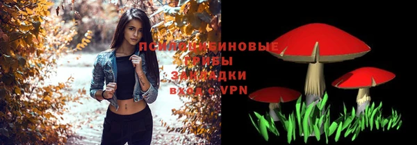 ешки Белоозёрский